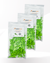Large Quantity Loose Bulk 1-Inch TargetTacks